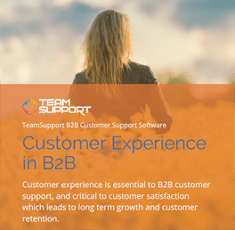 eBook-customer-experience-thumb-sm