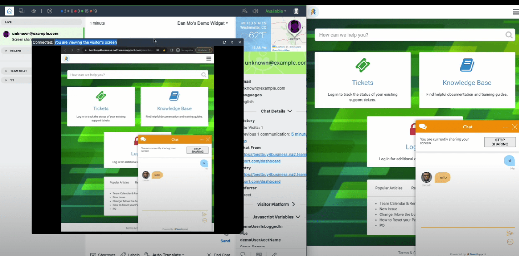 screen sharing interface in TeamSupport's live chat software