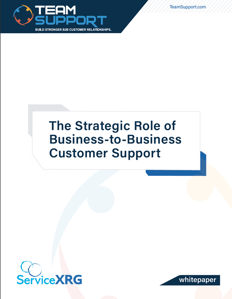 Strategic Role of B2B support